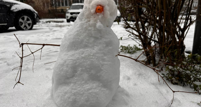    Первый городской канал Калининград