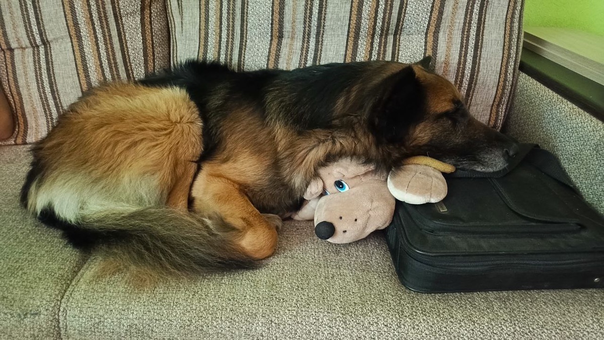 Маратка отдыхает❤️