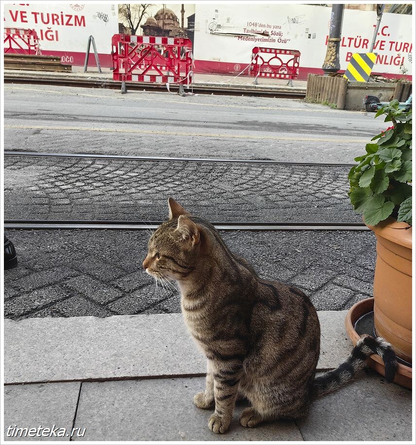 На улице Алемдар