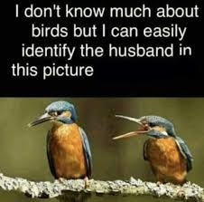 А Вы поняли кто здесь муж, а кто жена? 😅