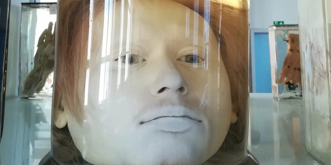 Голова Диогу Алвеша