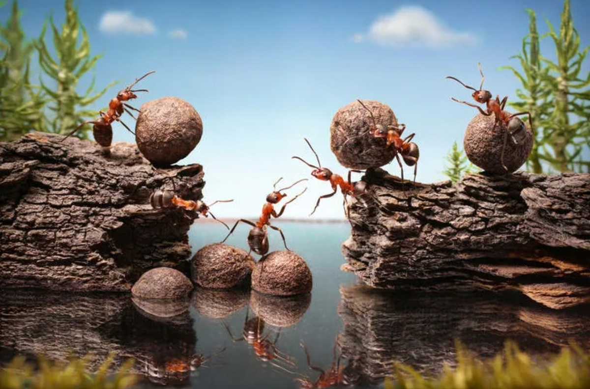 Источник фото: puzzlegarage.com