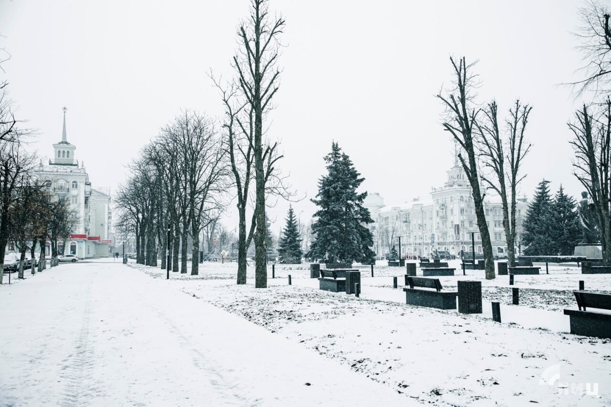    Фото: Луганский Информационный Центр/Чмирова Дарья