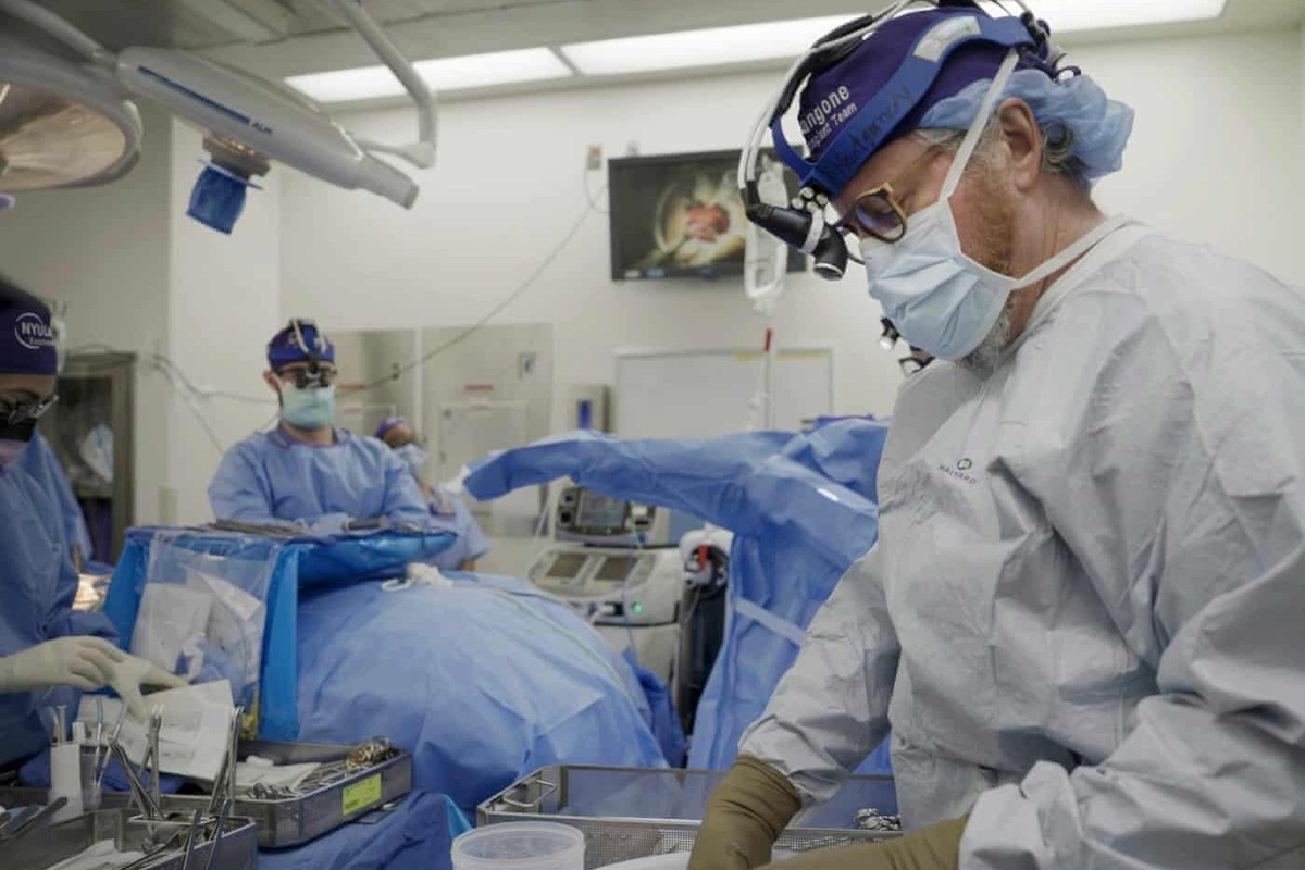     Хирурги считают пересадку органов от свиней будущим медицины для людей