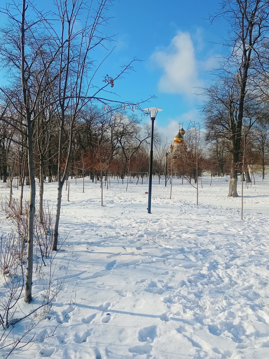 Наш сквер, фото 01.01.26