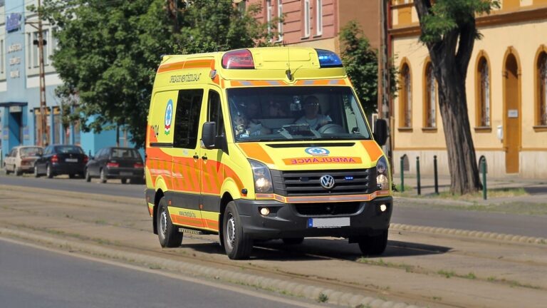    Фото: flickr.com/Albert Lugosi/CC BY 2.0 Алина Колупаева