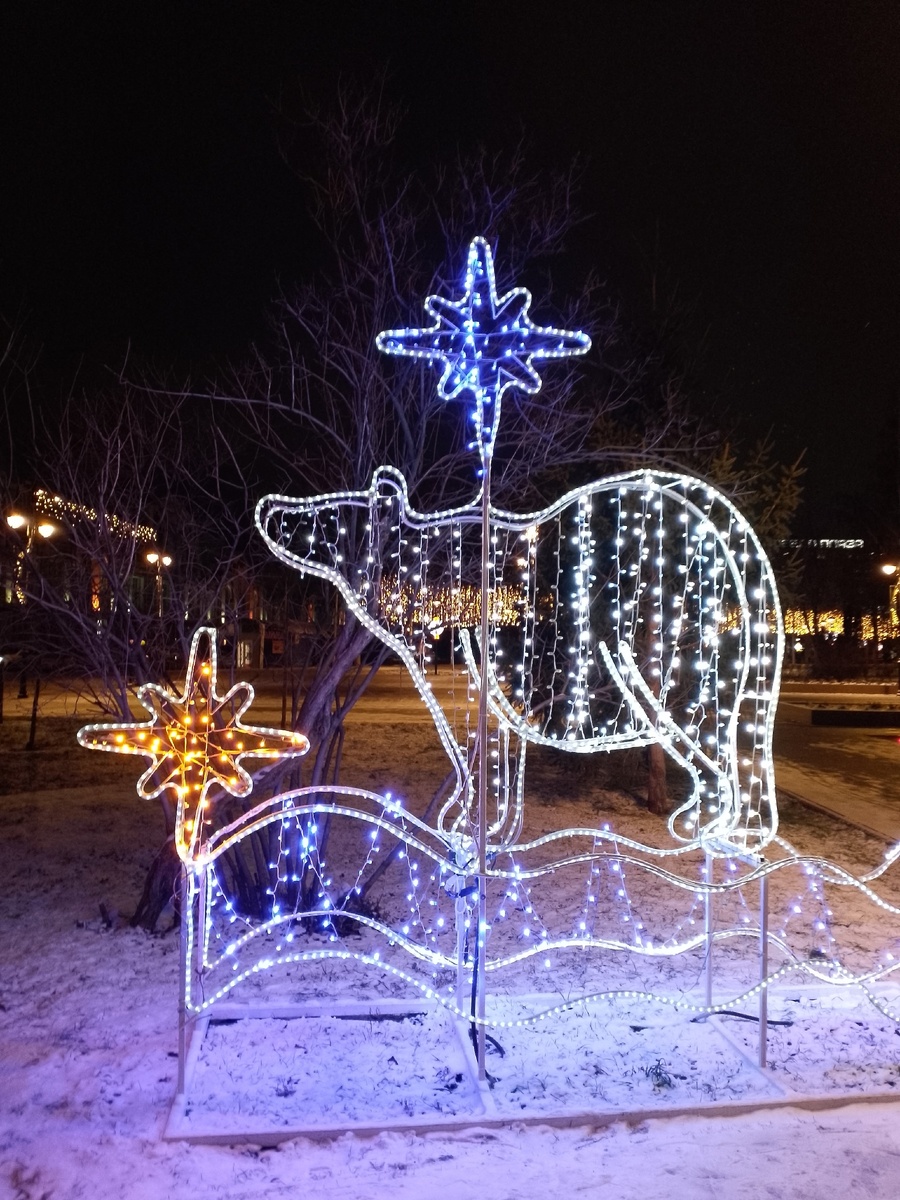 Фото автора канала. 