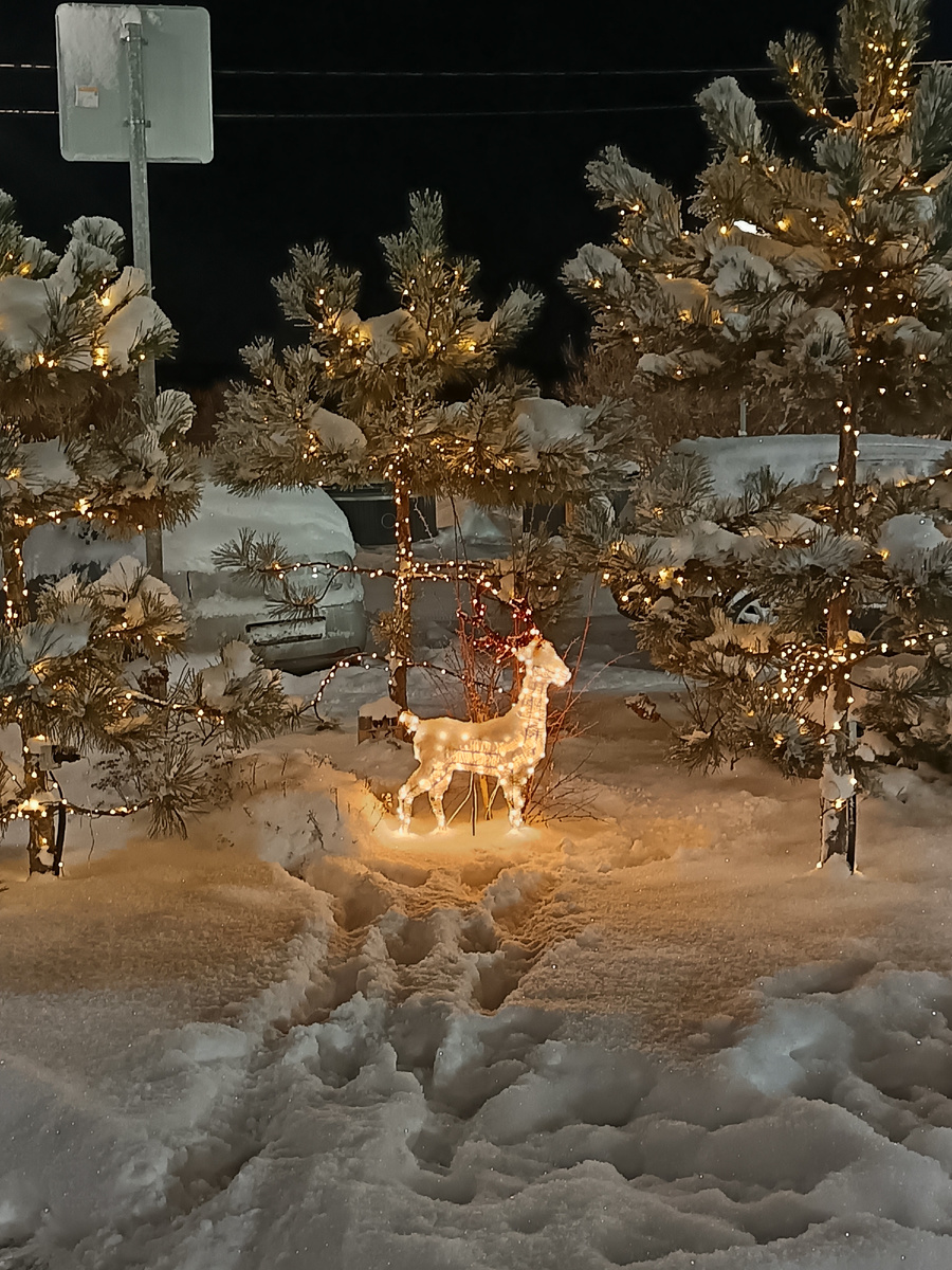 Фото автора статьи 