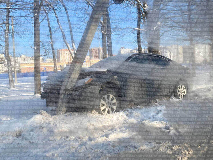     Фото: Липецкач / Telegram