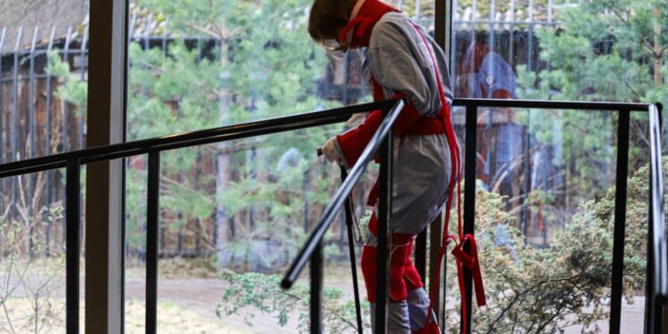    Илья Тушев / Вести Подмосковья