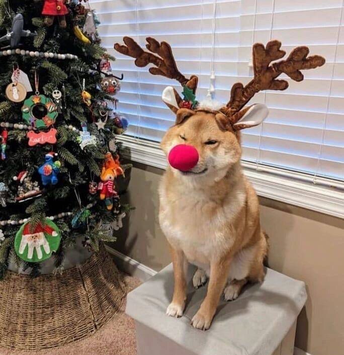 -2