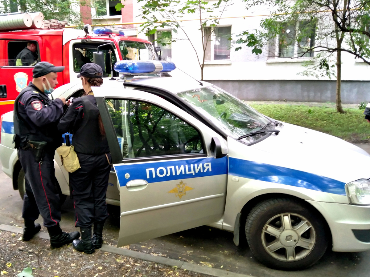 ⬆️ 🎞️ Авторское фото Михаила Соловьёва 