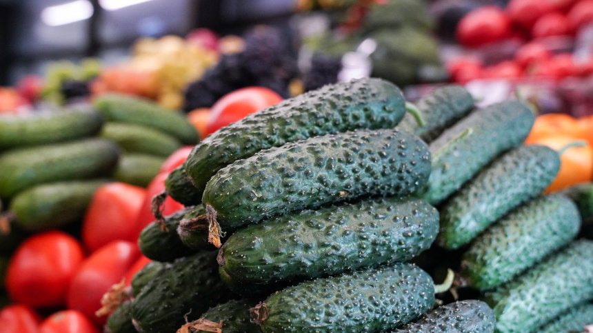    Фото: ИЗВЕСТИЯ/Анна Селина