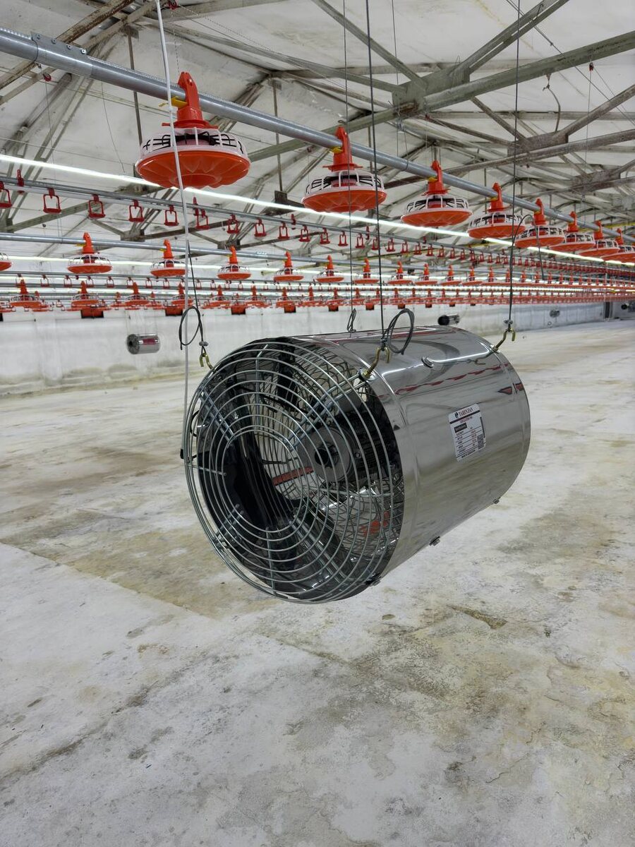 Система вентиляции, отопления, охлаждения. Микроклимат на птицефабрике