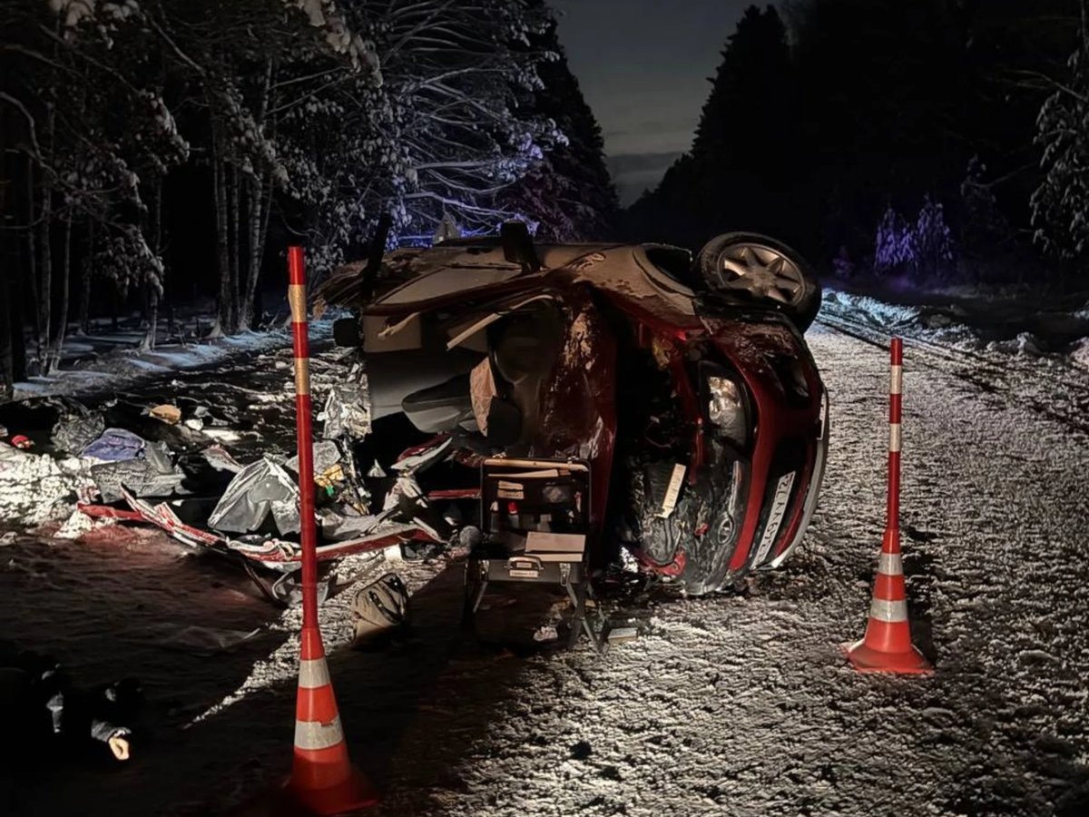    Прокуратура организовала проверку