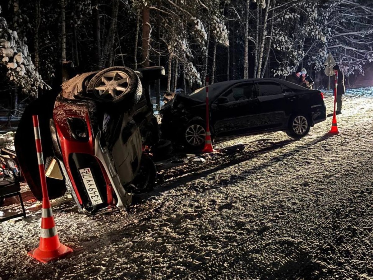    Прокуратура организовала проверку