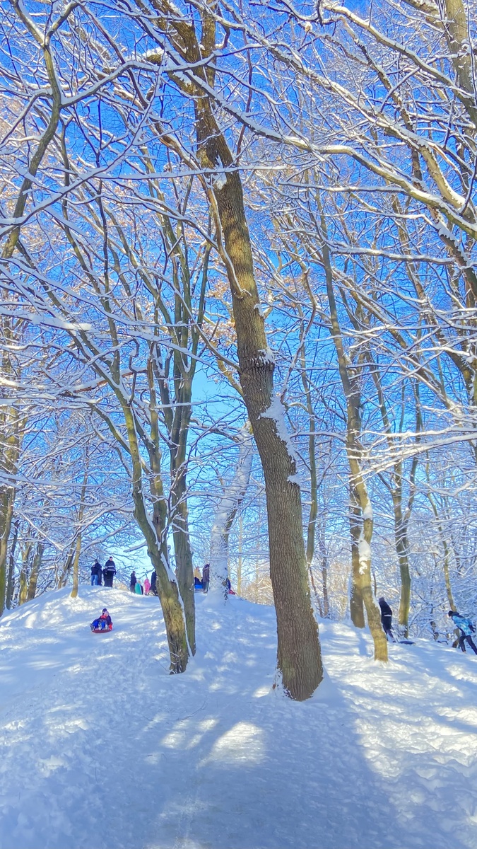 Горка в парке