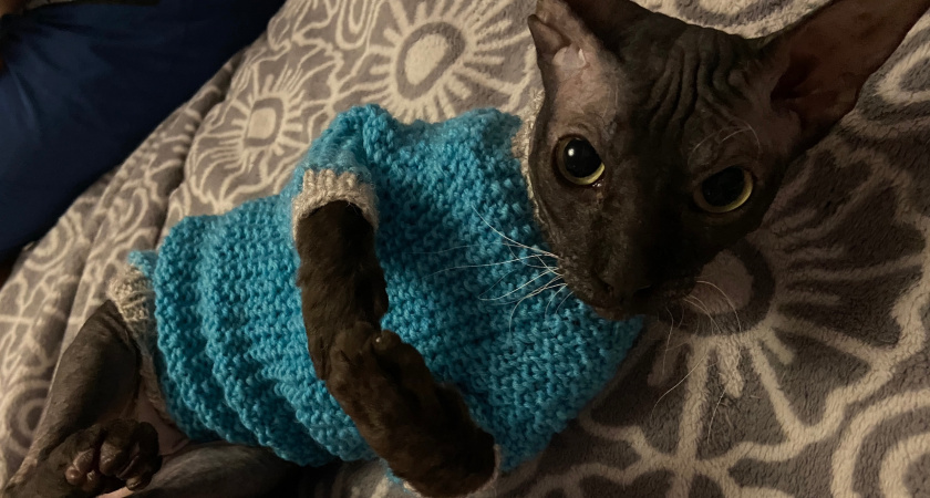    фото из архива редакции