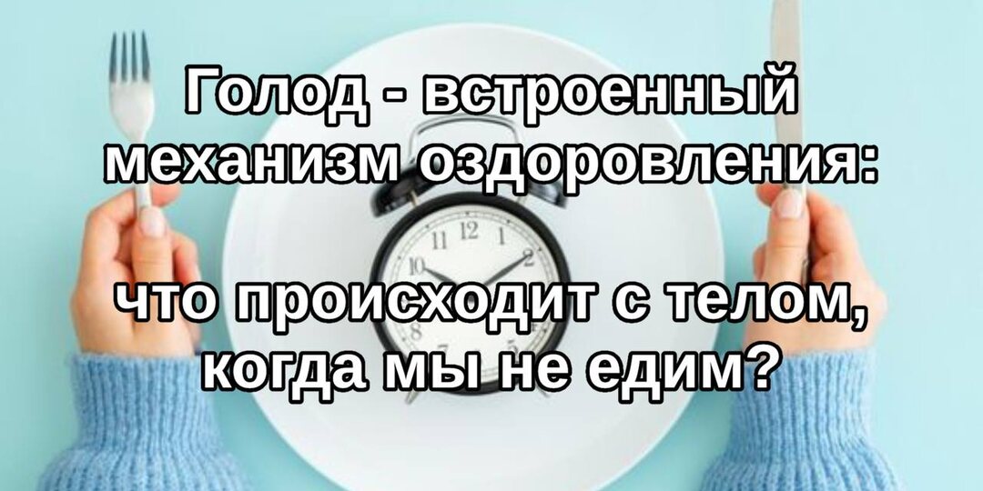 Голод — встроенный механизм оздоровления: что происходит с телом, когда мы не едим?