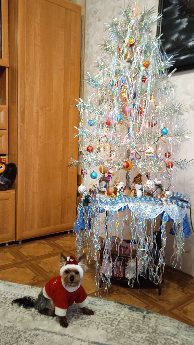 У одной из бабушек под ёлочкой (все фото автора)