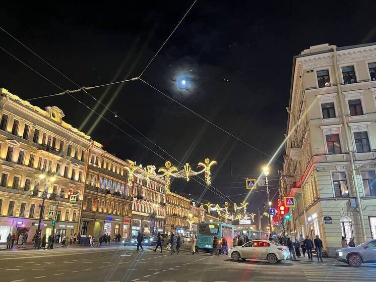     Фото: Архив МК в Питере.