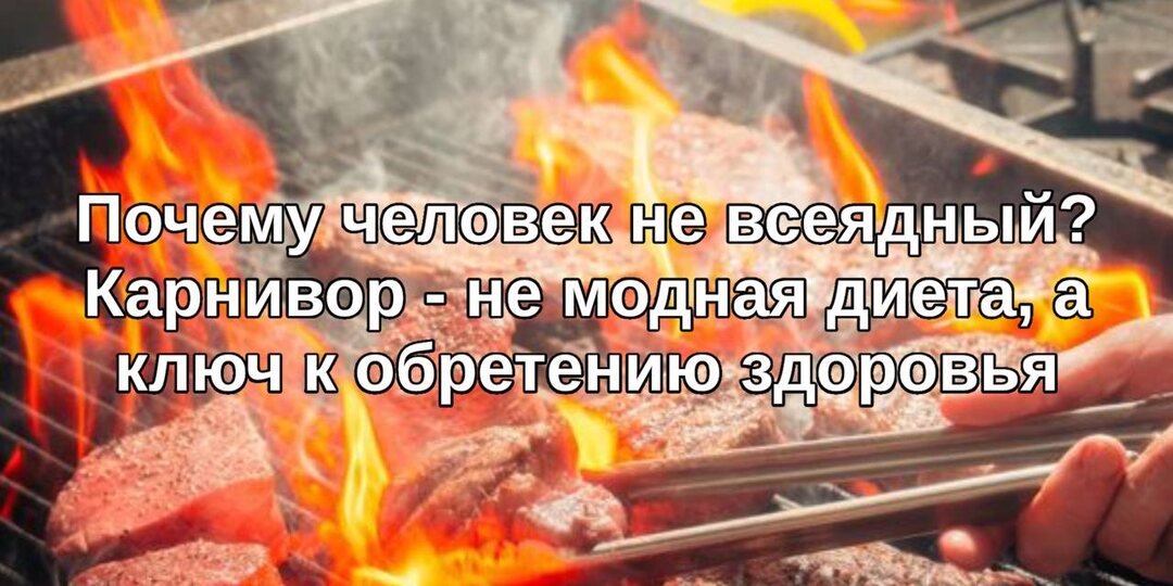 Почему человек не «всеядный». Карнивор – не модная диета, а ключ к обретению здоровья.