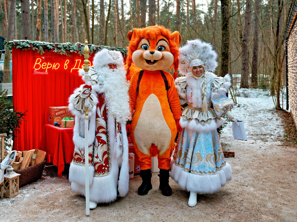    Фото: медиасток.рф