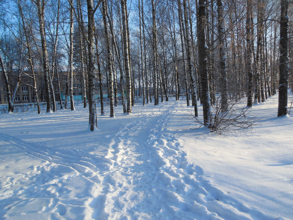 Моя утренняя прогулка 1 января 2026 года