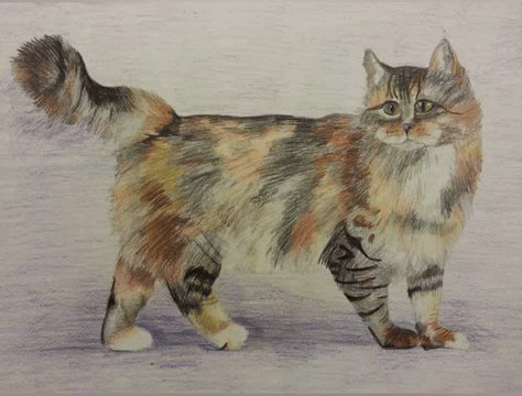 Этого котика я нарисовал очень давно, ещё мальчишкой, срисовывая со своего домашнего кота. Алиса AI оживила рисунок.