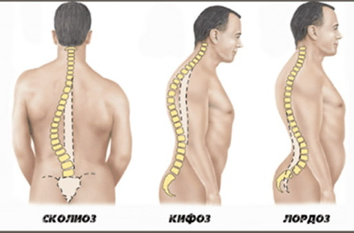  У меня целый букет😅
