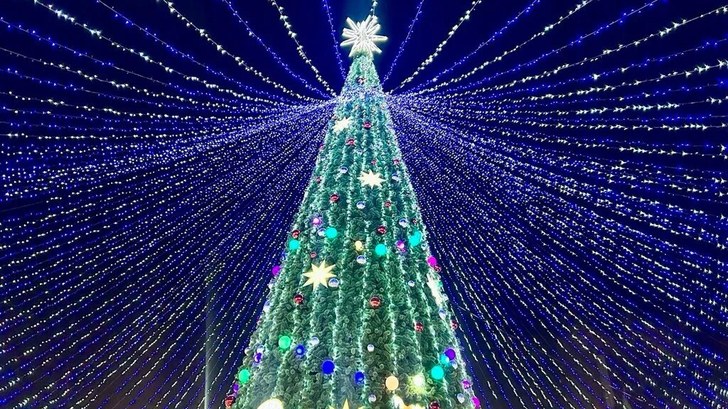 Фото: Урбан Медиа