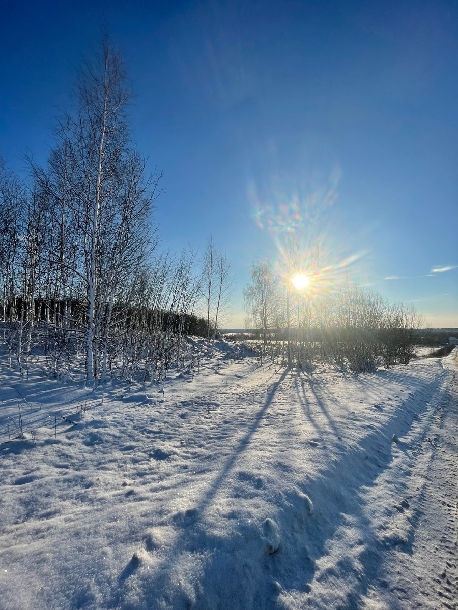 Мороз и солнце 
