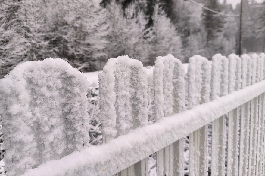    Фото: Maksim Konstantinov / Global Look Press