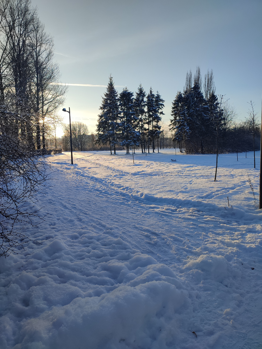 Парк южно-приморский