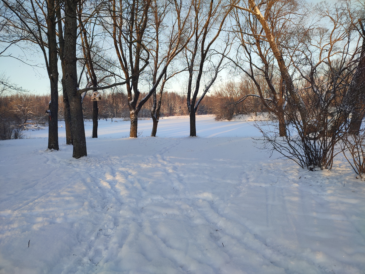 Парк южно-приморский 