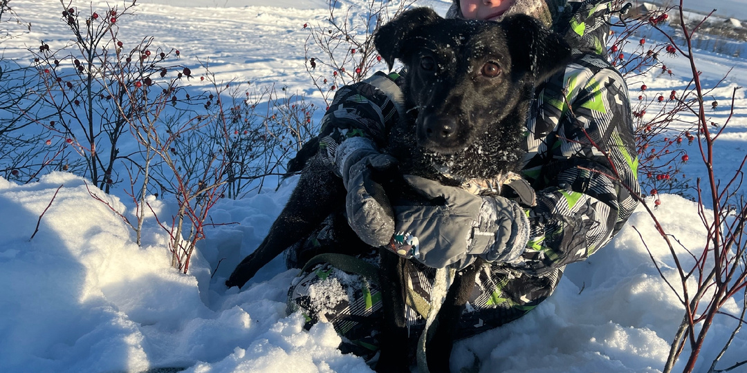 Первое января начинается с добра в приюте для собак