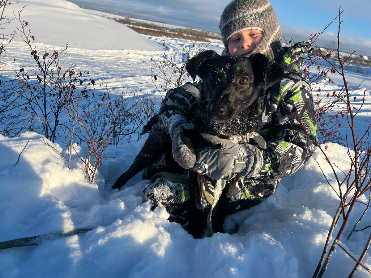 Элис и Дима