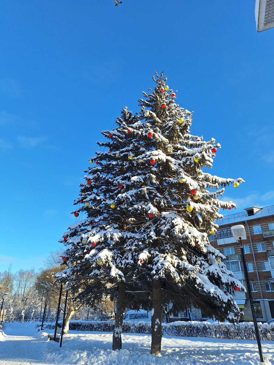 Ёлочка у самолёта 