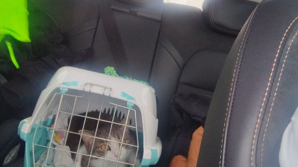 Новогодняя поездка на юга