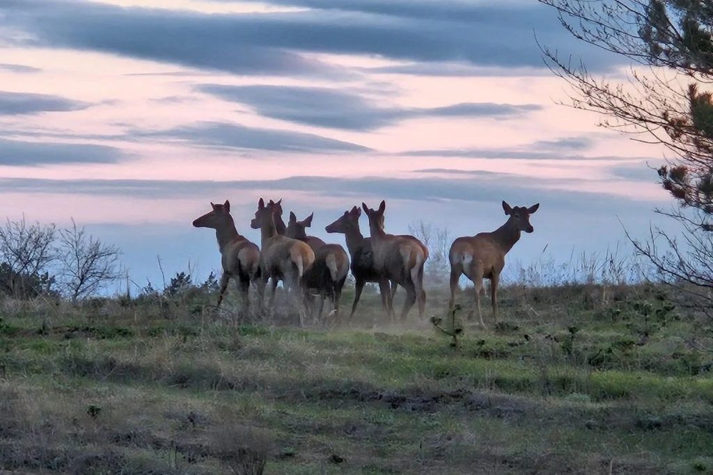    Фото: donland.ru Редактор