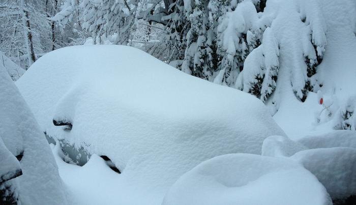 Обложка © flickr.com/Jessica Toner