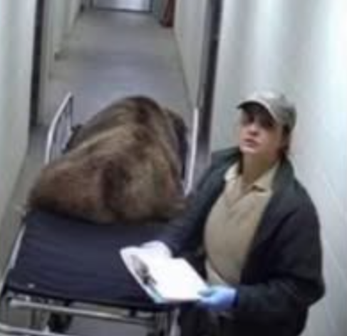 Тихо! Идет операция!