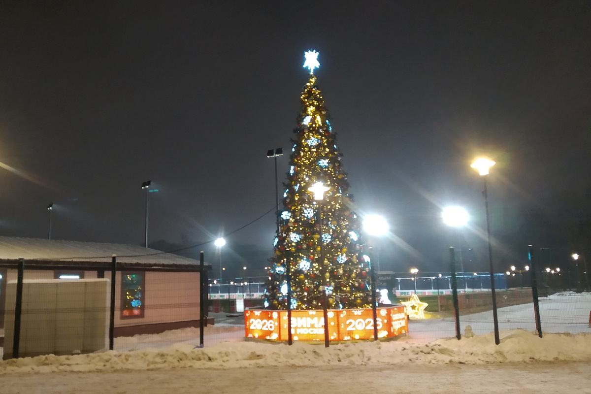 1 из ёлок в Москве в декабре 2025, фото автора