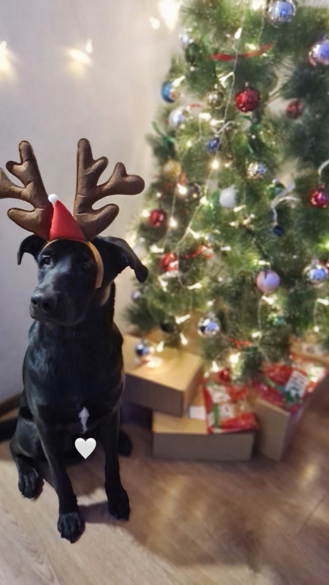 Нарядный Сэм тоже всех поздравляет. Фото из личного архива автора. 