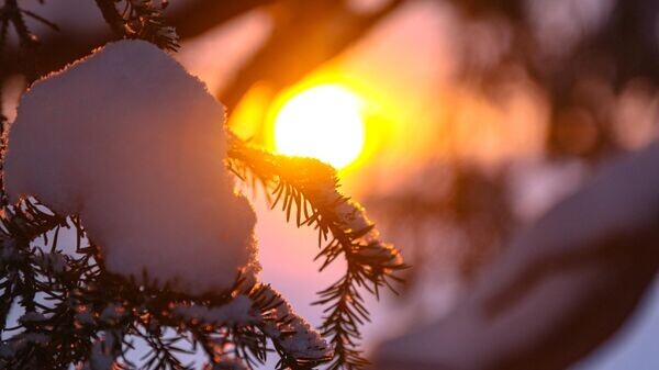    © Sputnik / Павел Львов