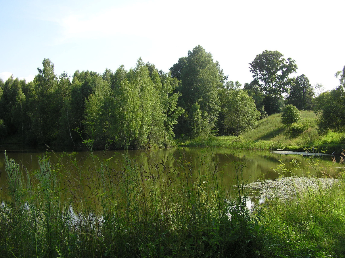 Хренов пруд