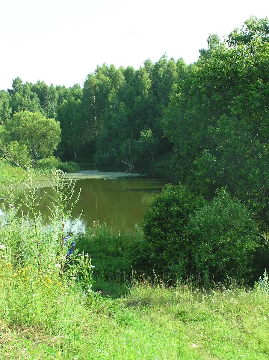 Хренов пруд