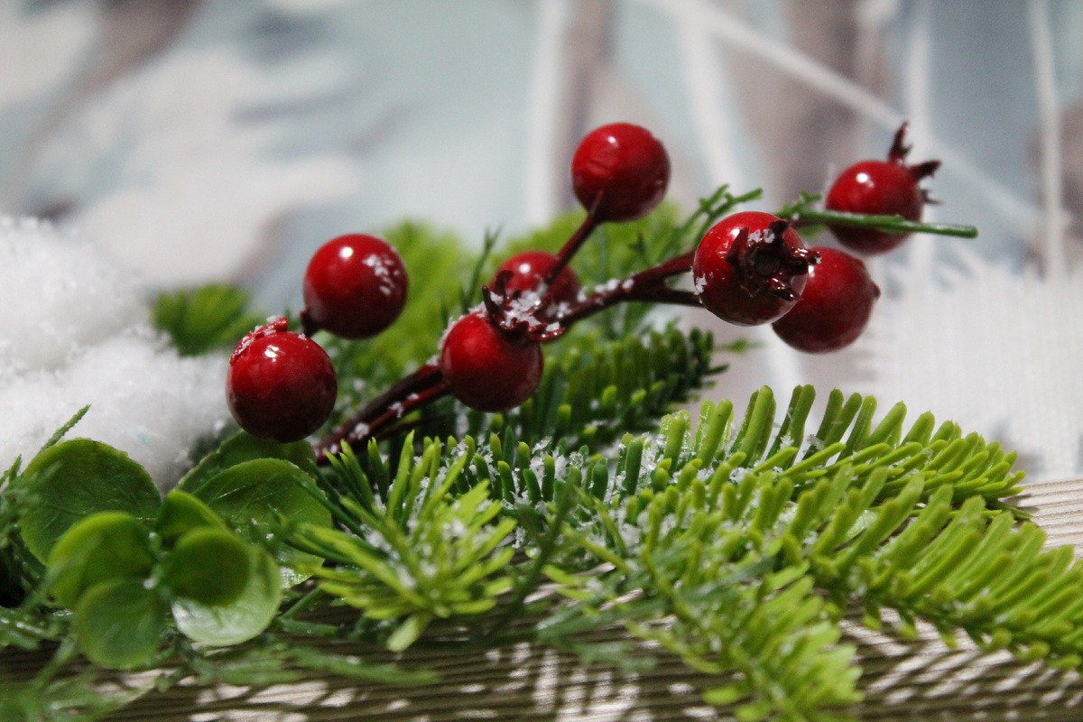 Фото автора.