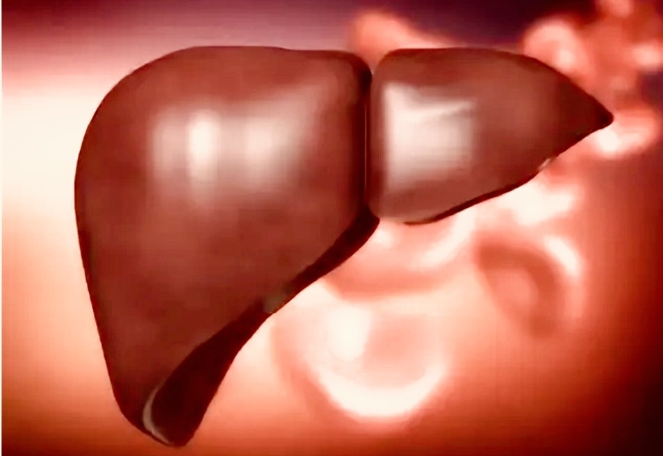 Яндекс фото. Печень 