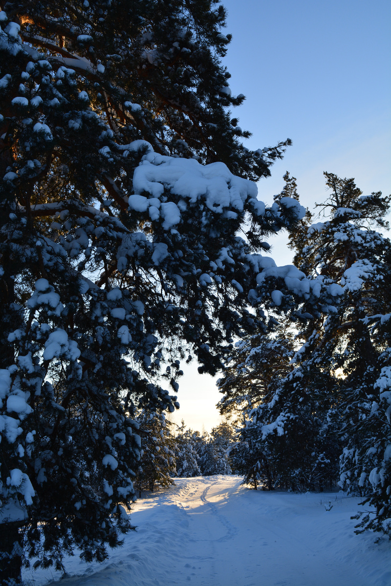 Фото автора